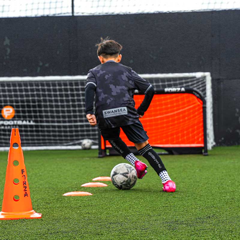 Pure Llanelli Development