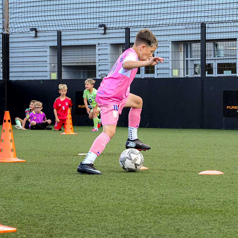 Pure Swansea Development